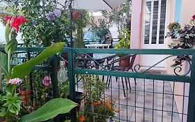 Napier Apartment